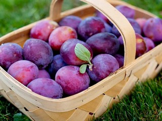 Слагалица «Plums in the basket»