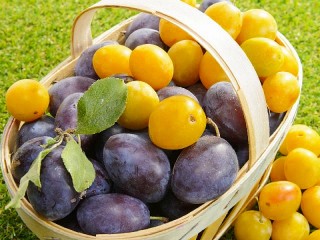 Слагалица «Plums in the basket»