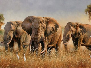 パズル «Sloni»