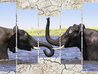 Jigsaw Puzzle «Sloni»