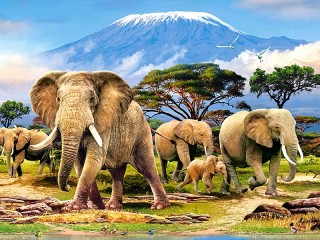 Слагалица «Elephants»