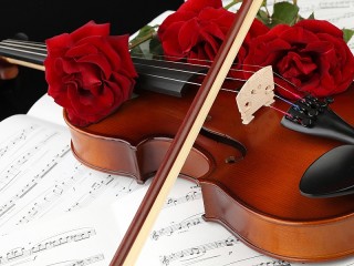 Пазл «Смычок и скрипка»