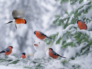 Пазл «Bullfinches and snowman»