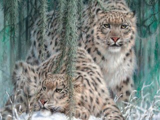 Slagalica «Snow leopards»