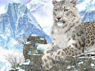 Jigsaw Puzzle «Snow leopard»