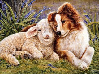 Пазл «Собака и овца»