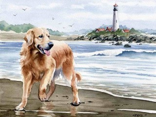 Jigsaw Puzzle «Dog by the sea»
