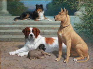 Puzzle «Dogs»