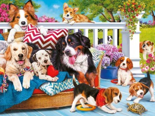 Jigsaw Puzzle «Dogs and turtle»