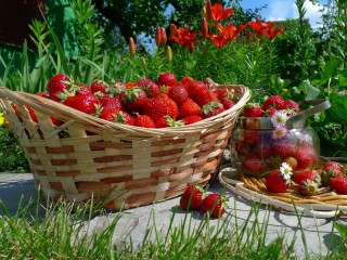 Bulmaca «juicy strawberry»