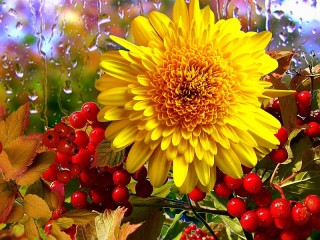 Пазл «Солнечный цветок»