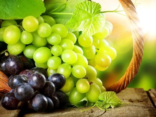 Jigsaw Puzzle «Sunny grapes»