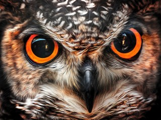 Jigsaw Puzzle «Owl»