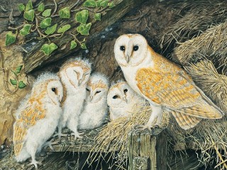 Quebra-cabeça «Owl and owlets»