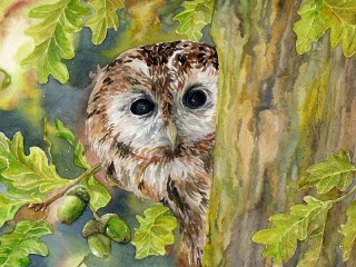 Jigsaw Puzzle «Owl on oak»