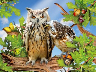 Jigsaw Puzzle «Owls on the oak»
