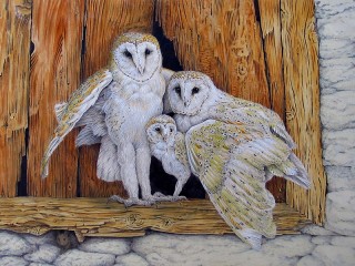 Rompecabezas «Owl family»