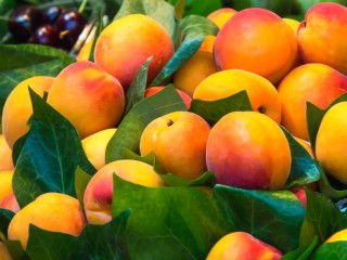 Пазл «Спелые абрикосы в листьях»