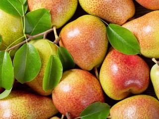 Jigsaw Puzzle «Ripe pears»