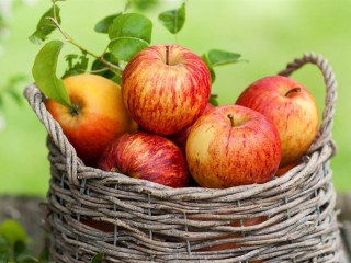Пазл «Спелые яблоки»