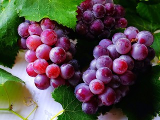 Пазл «Спелые ягодные гроздья»
