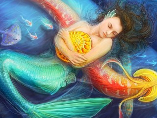 Puzzle «Sleeping mermaid»