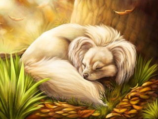 Puzzle «Sleeping dog»