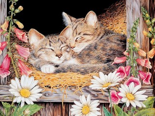 Пазл «Спящие кошки»