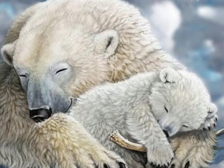 Пазл «Спящие медведи»