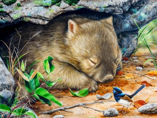 Пазл «Sleeping wombat»