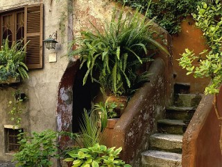 Slagalica «Old house»