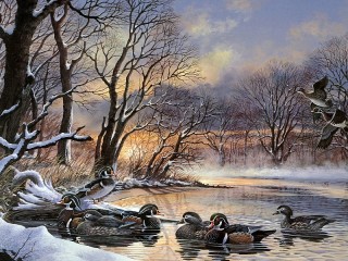 Rompecabezas «A flock of ducks»