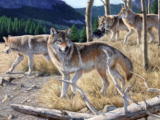 Jigsaw Puzzle «Wolf pack»