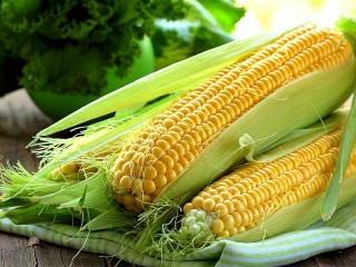 Пазл «Свежая кукуруза»