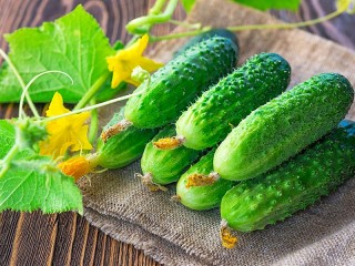 Quebra-cabeça «Fresh cucumbers»