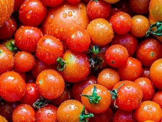 Пазл «Fresh tomatoes»