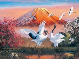 Jigsaw Puzzle «The dance of the cranes»