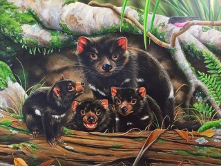 Rompecabezas «Tasmanian devil»