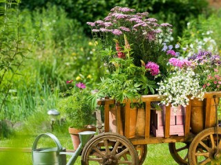 Jigsaw Puzzle «Cart with flowers»
