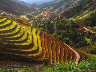 Слагалица «Terrace farming»