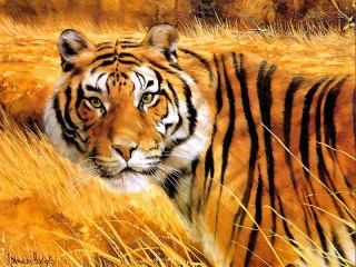 Puzzle «Tiger»
