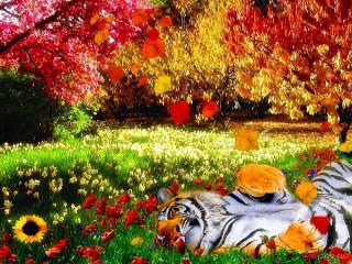 Jigsaw Puzzle «Tigr i osen»