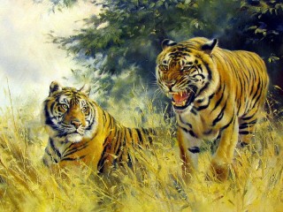 Jigsaw Puzzle «Tigers»