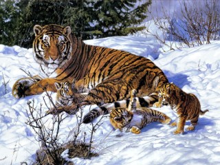 Пазл «Тигрица с детёнышами»