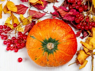 Rätsel «Pumpkin with viburnum in foliage»