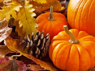 Jigsaw Puzzle «Pumpkin and pine cone»