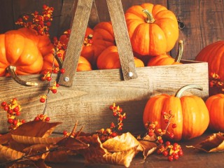 Jigsaw Puzzle «Pumpkins and dry leaves»