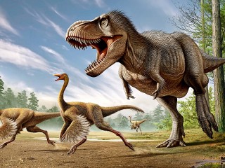 Пазл «Тиранозавр»