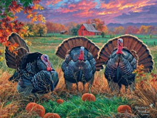 Пазл «Three turkeys»