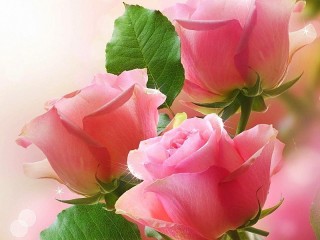 Пазл «Три розы»